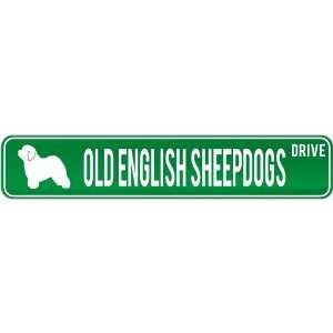  New  Old English Sheepdogs Drive  Street Sign Dog