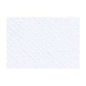  Canson Mi Teintes Board   Pack of 5 32x40   White Arts 