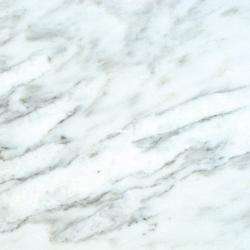 Arabescato Carrara 18x18 inch Tile (Pack of 5)  