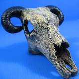 Goat Skull Aquarium Ornament