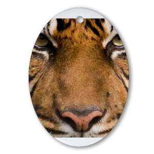  Ornament (Oval) Sumatran Tiger Face 