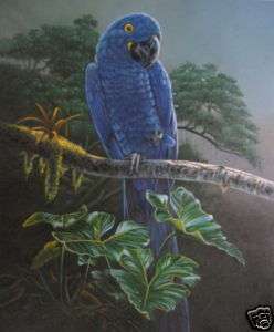 Art animal oil paintingSmall bird on canvas 24x36inch  