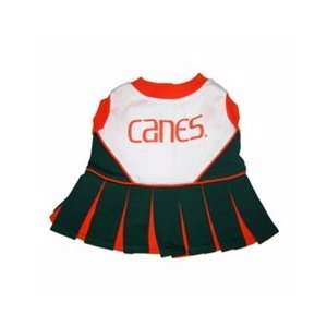  Miami Hurricanes Cheerleader Dog Dress