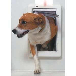  Medium All Weather Door with Protector Alarm Slide Pet 