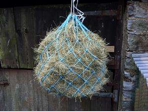 HAY NETS WITH RINGS DIFFERENT COLOURS **Limited Offer**  