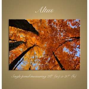  Altus Digital Art Painting Canvas Awesome Fall Trees 