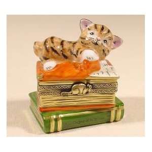 Clever Cat on Books Authentic French Limoges Box 