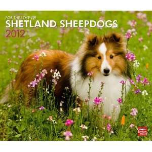  For the Love of Shetland Sheepdogs 2012 Deluxe Wall 