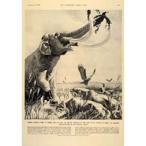  1953 Rancho La Brea Tar Pits Mammoth Sabre toothed Cat 