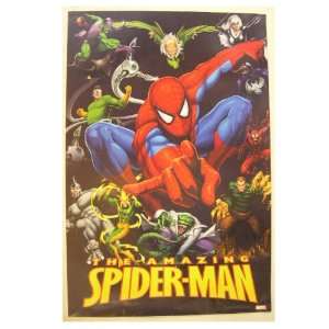  The Amazing Spiderman Spider man Poster Marvel Comics 