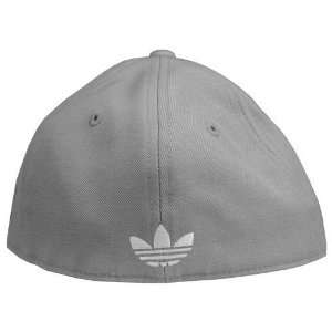    Sacramento Kings Fitted Flat Brim Hat (Grey)
