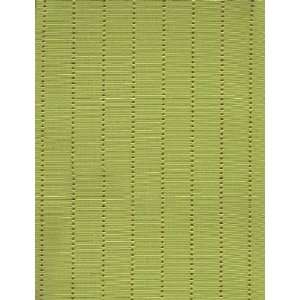  1117 Coastal in Kiwi by Pindler Fabric