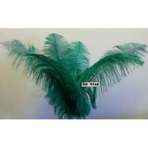 Ostrich Deluxe Formal Palm Tree Green  Feather 18 24Long 20 Pcs.  to 