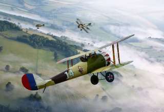 WW1 Aviation Art Eddie Rickenbacker, Nieuport 28 by Ron Cole, Signed 