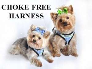CHOKE FREE Dog Harness Doggie Design Step In Vest   BLUE PLAID  
