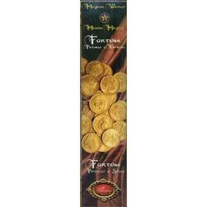  Fortune Magical World Incense  Dz  