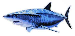 MAKO SHARK DECAL / STICKER GREAT WHITE OFFSHORE WIRE LEADER GAFF JAWS 