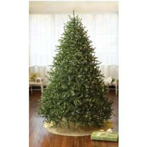   Mountain Pine Christmas Tree Clear Lights #181204
