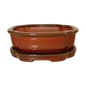   Bonsai Tree Pot   Ceramic Glazed   6 inch Patio, Lawn & Garden