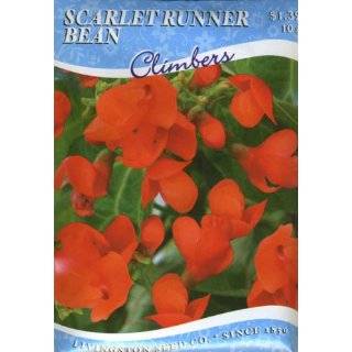 Scarlet Runner Bean Vine 25 seeds Patio, Lawn & Garden
