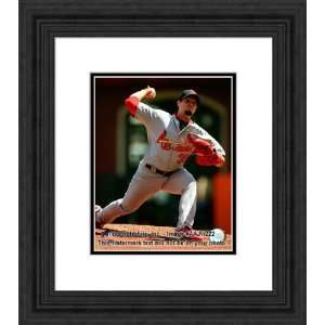 Framed Joel Pinerio St. Louis Cardinals Photograph  Sports 