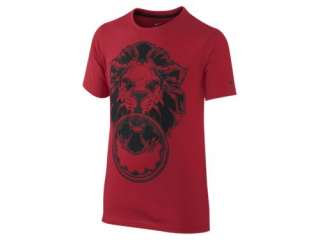  LeBron Dri FIT Lion Boys Basketball T Shirt
