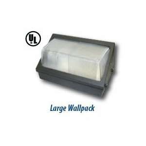  Induction Lighting   Large Wallpack