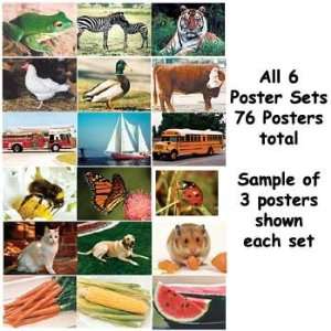  Real Life Learning Posters   All 6 Poster Sets