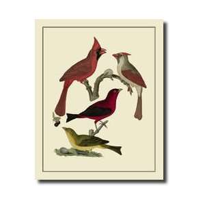  Bird Family Iv Giclee Print