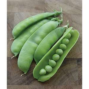  Pea RSVPea 1 Pkt. (200 seeds) Patio, Lawn & Garden