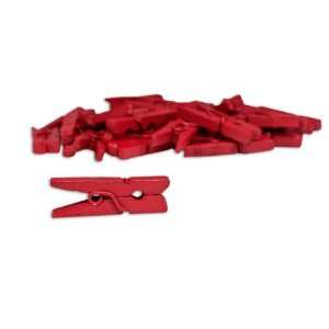Red Mini Clothespins 