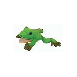  Freddie the Frog Teachers Puppet Musical Instruments