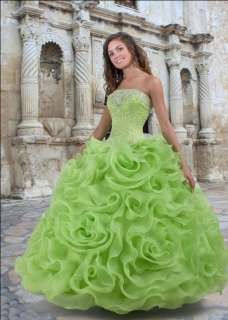 2012 New style Bridal wedding dress Quinceanera Ball Gown Custom Size 