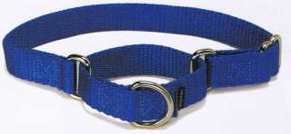 This is a Large (1 wide) Fido Finery Premier ® Collar . This has 