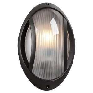  Oval Architectural Bronze 11 High Outdoor Wall Light 