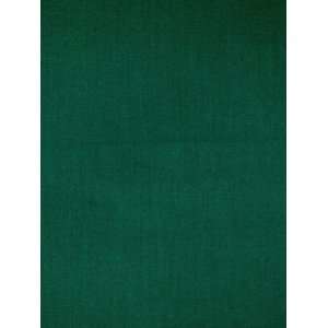  Scalamandre Guadeloupe   Green Fabric