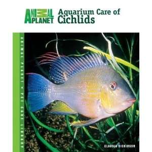  Aquarium Care Of Cichlids