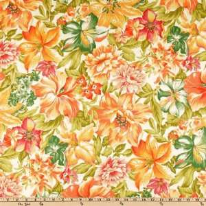  54 Wide Indoor/Outdoor Kendari Apricot Fabric By The 