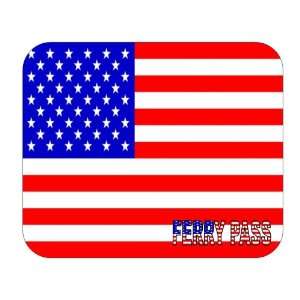  US Flag   Ferry Pass, Florida (FL) Mouse Pad Everything 