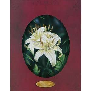  Darryl Vlasak White Lilies II 7x5 Poster Print