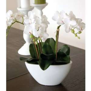 Künstliche Orchidee Phalaenopsis in Schale, weiß, 38 cm 