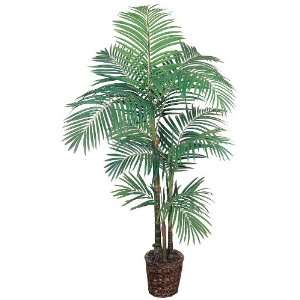  Areca Silk Palm Tree 5 1/2 ft with Wicker Basket Patio 