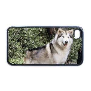  Siberian husky dog Apple RUBBER iPhone 4 or 4s Case 