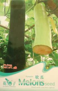 B033 Long Type Bottle Gourd Cucurbita Seed Pack  