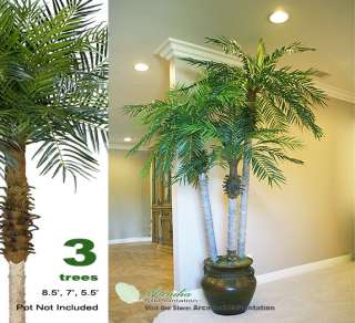 Artificial Date Phoenix Palm Trees 8.5+7+5.5 Plant  