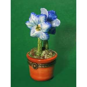  Blue Amaryllis Flower in a Pot French Ltd Ed Limoges Box 