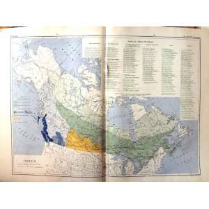    Map Canada 1915 Forest Trees Alberta Ontario Quebec