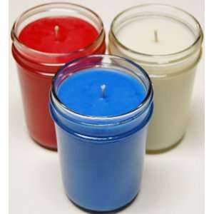   & Blue 8oz Jelly Jar Candles   Apple Jack & Peel 