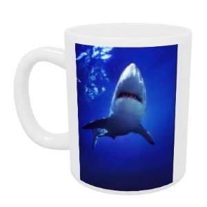  Shark in Aquarium   Mug   Standard Size