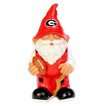 Georgia Sports Gnome Georgia Sports Gnome